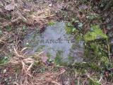 image of grave number 485501